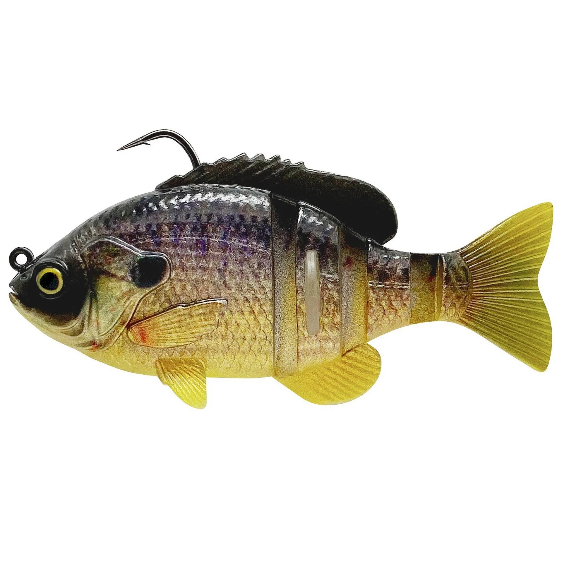3D Bluegill RTF - Image 10