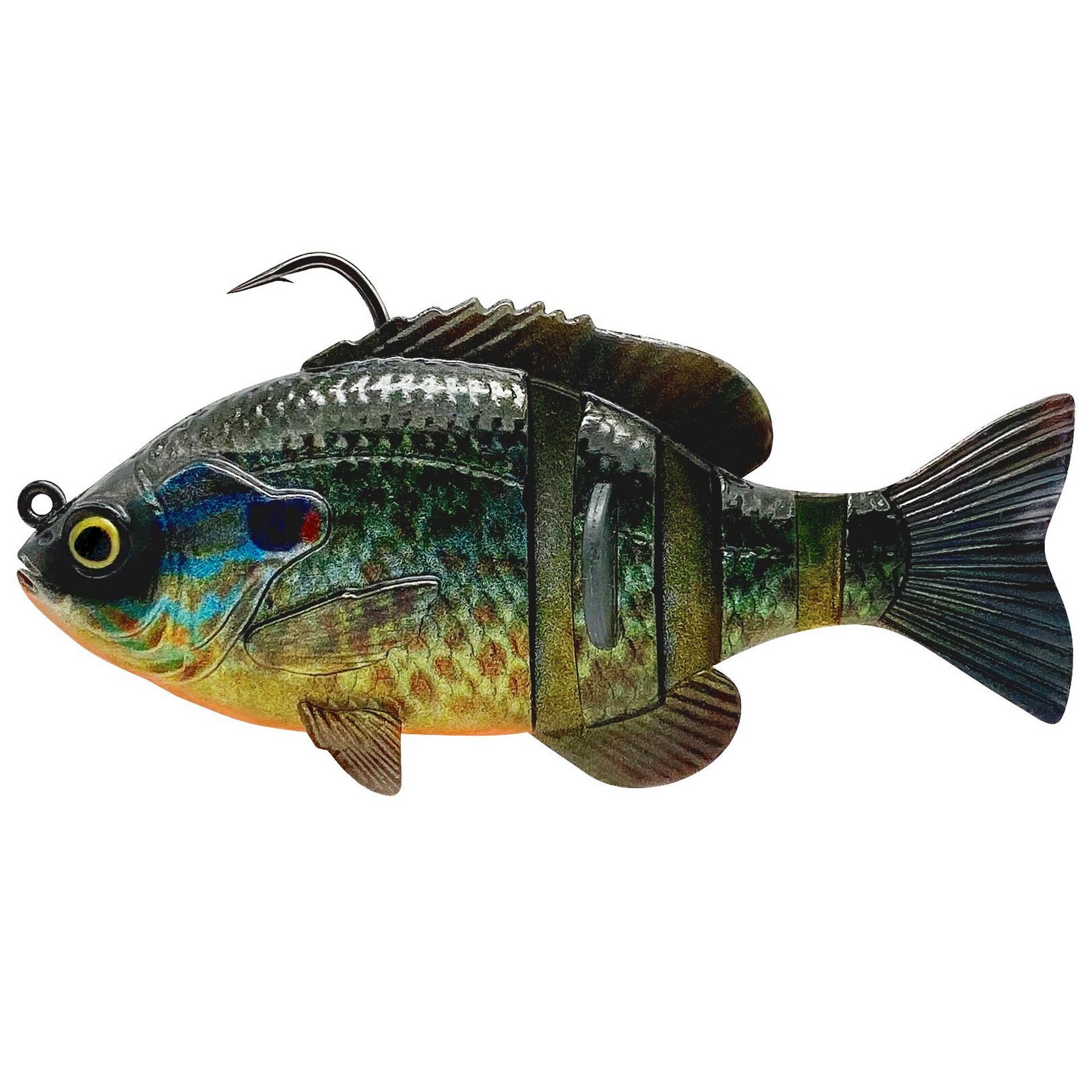 3D Bluegill RTF - Image 12