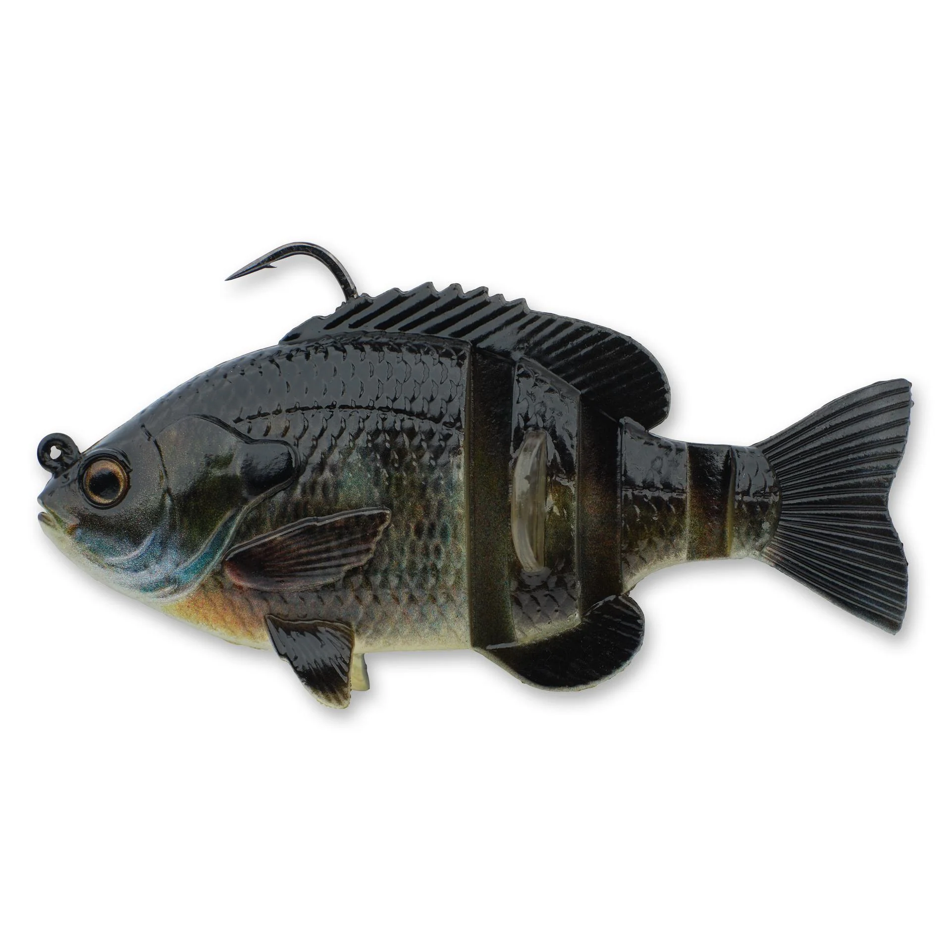 3D Bluegill RTF - Image 14