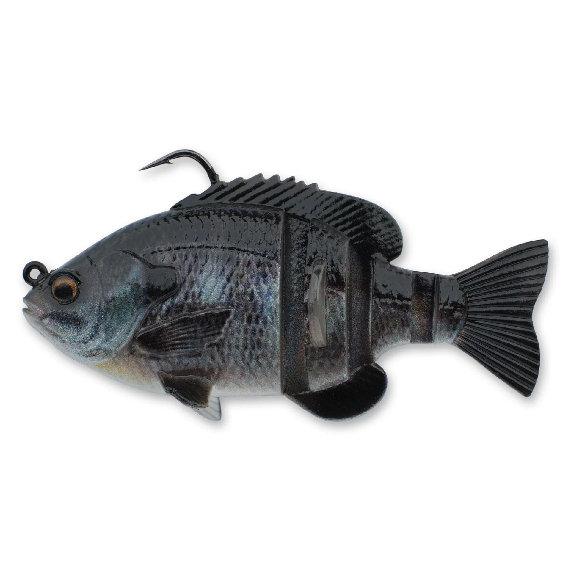 3D Bluegill RTF - Image 17