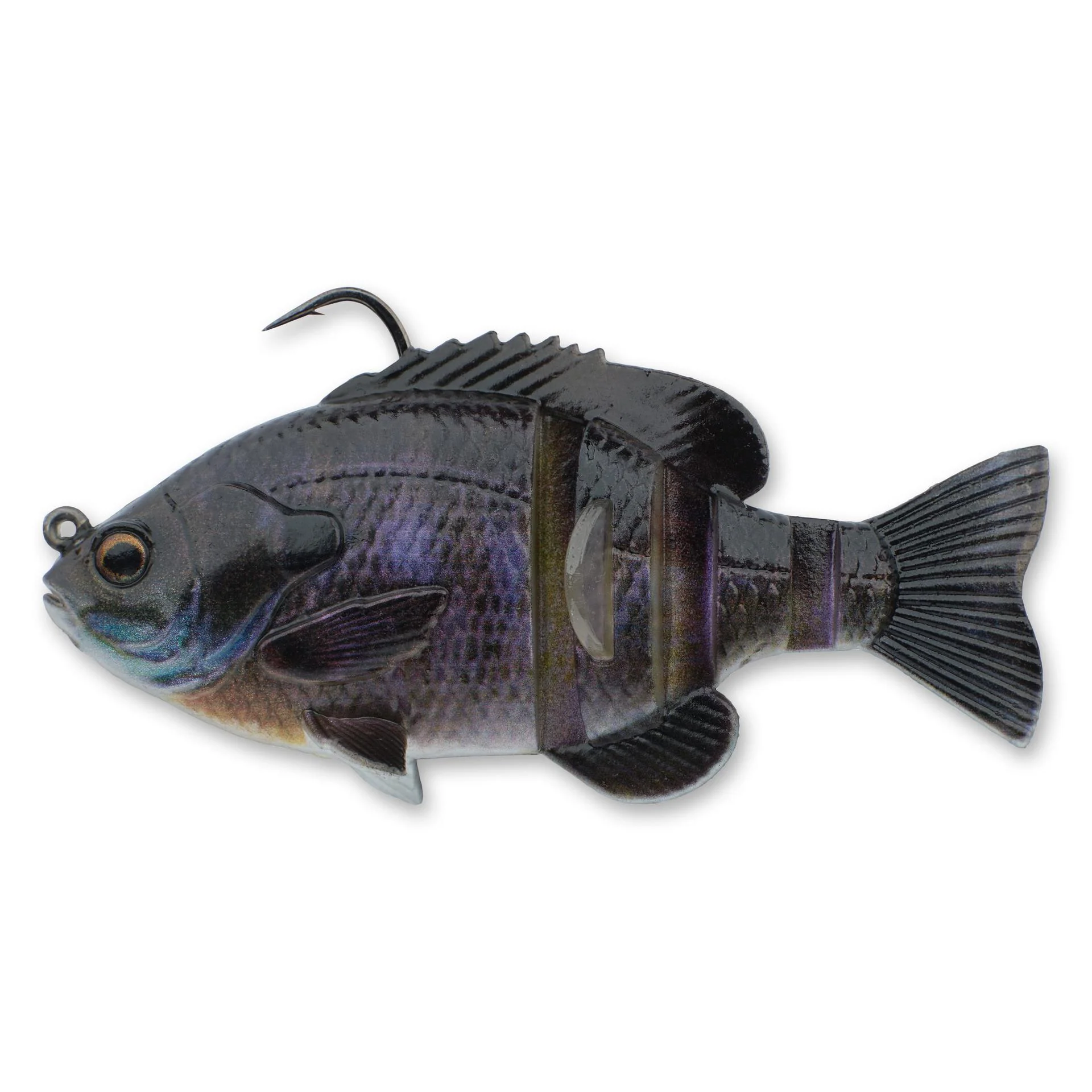 3D Bluegill RTF - Image 20