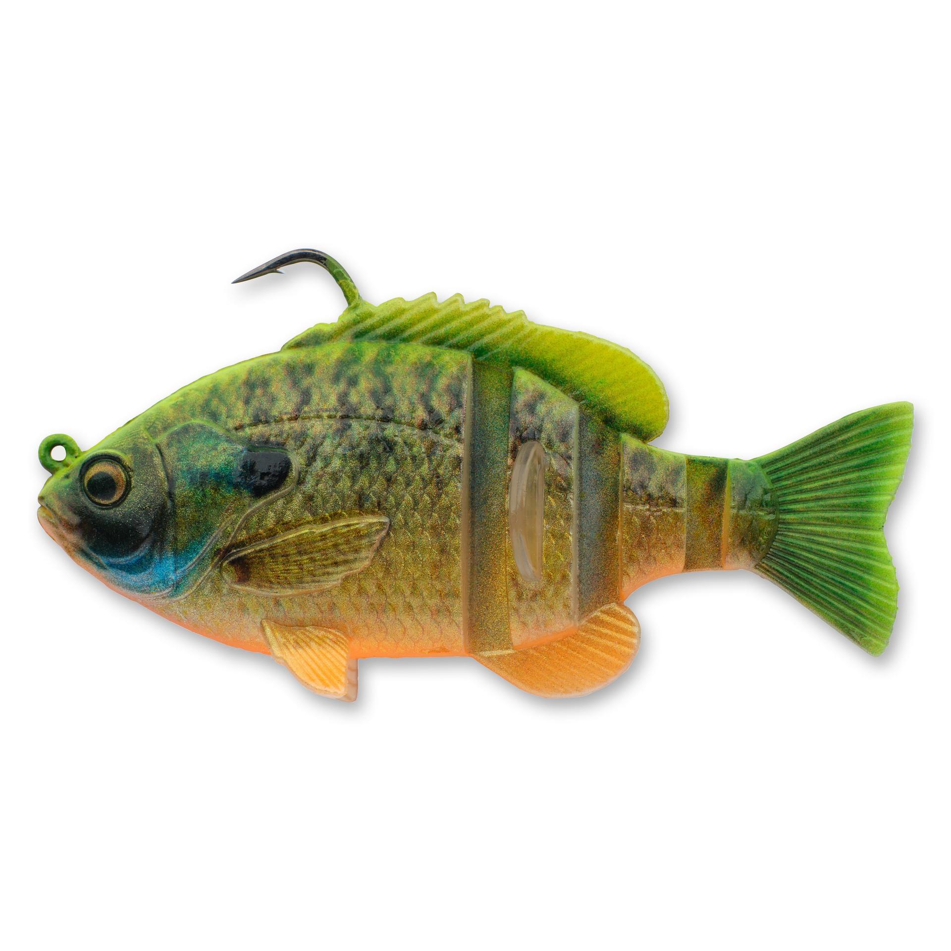 3D Bluegill RTF - Image 22