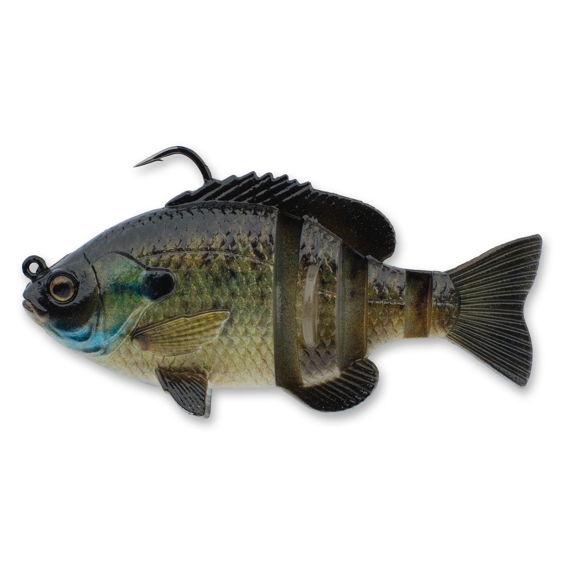 3D Bluegill RTF - Image 23
