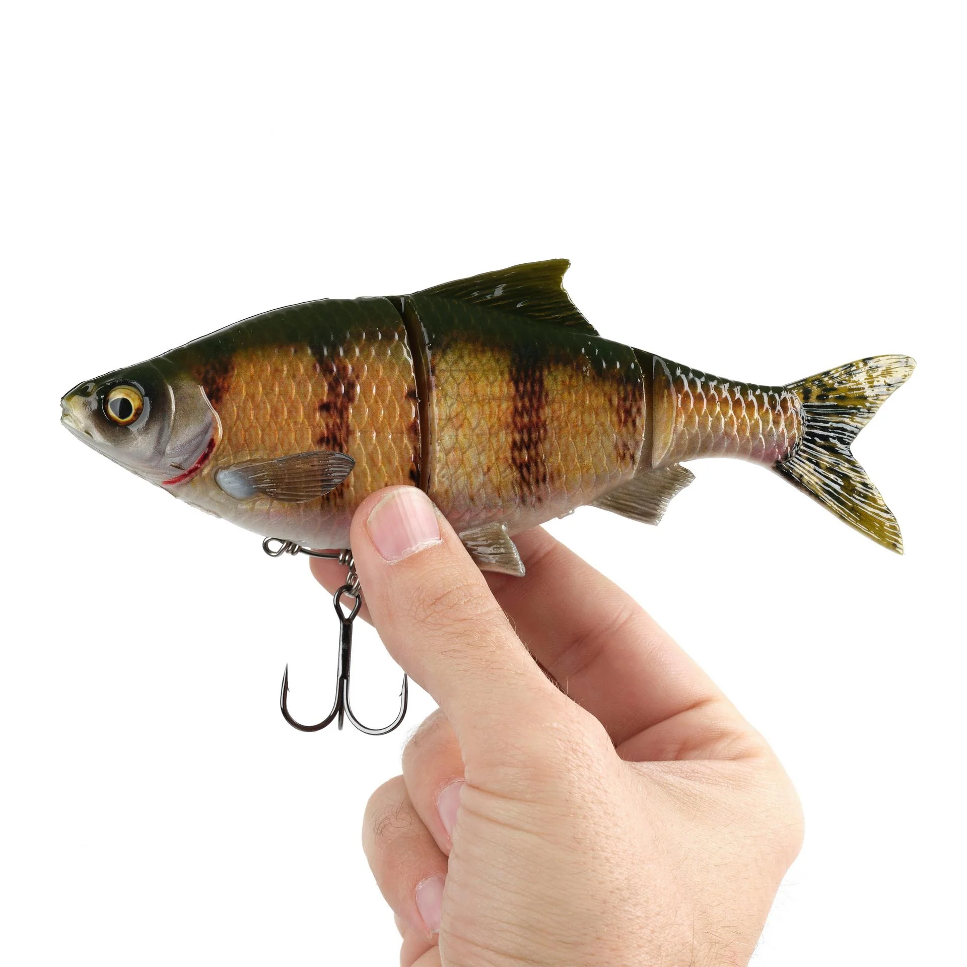 3D Gizzard - Image 13