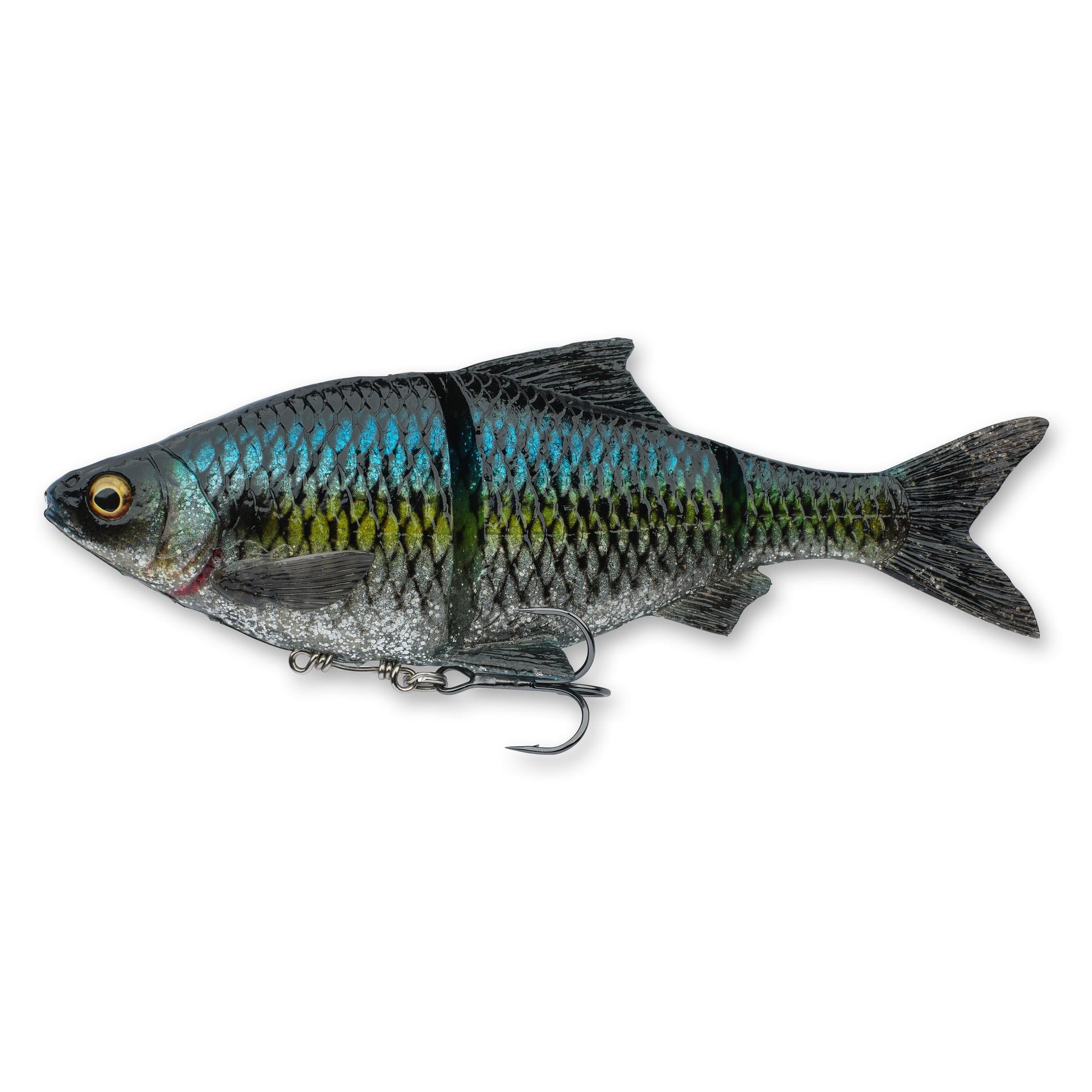 3D Gizzard - Image 16