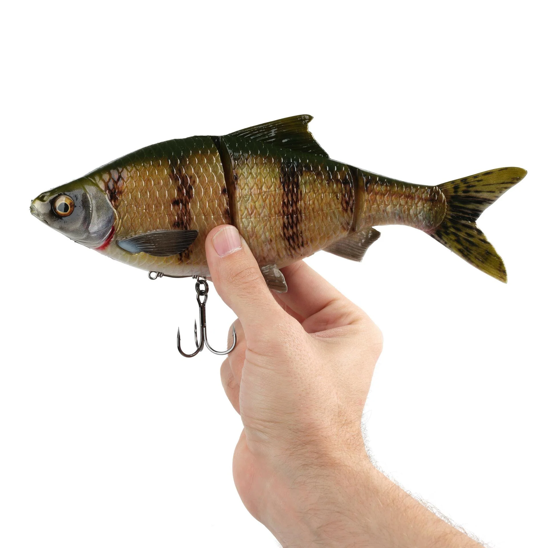 3D Gizzard - Image 21