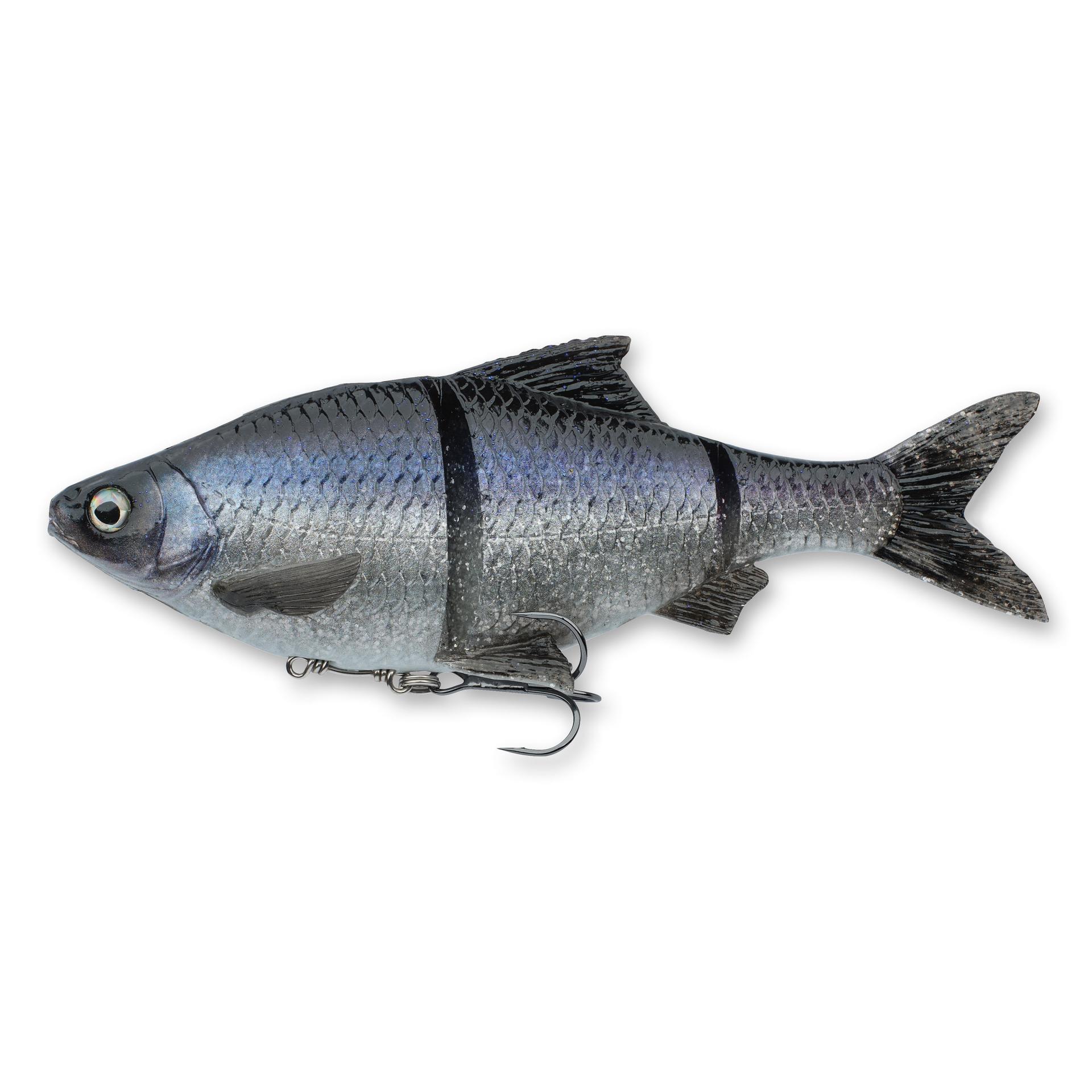 3D Gizzard - Image 24