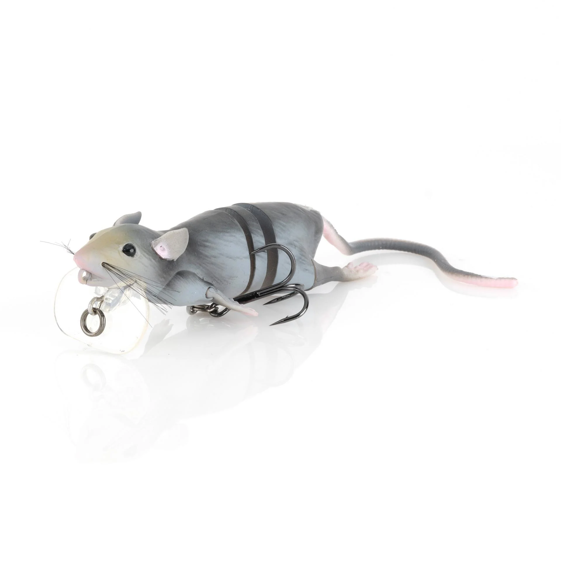 3D Rat - Image 3