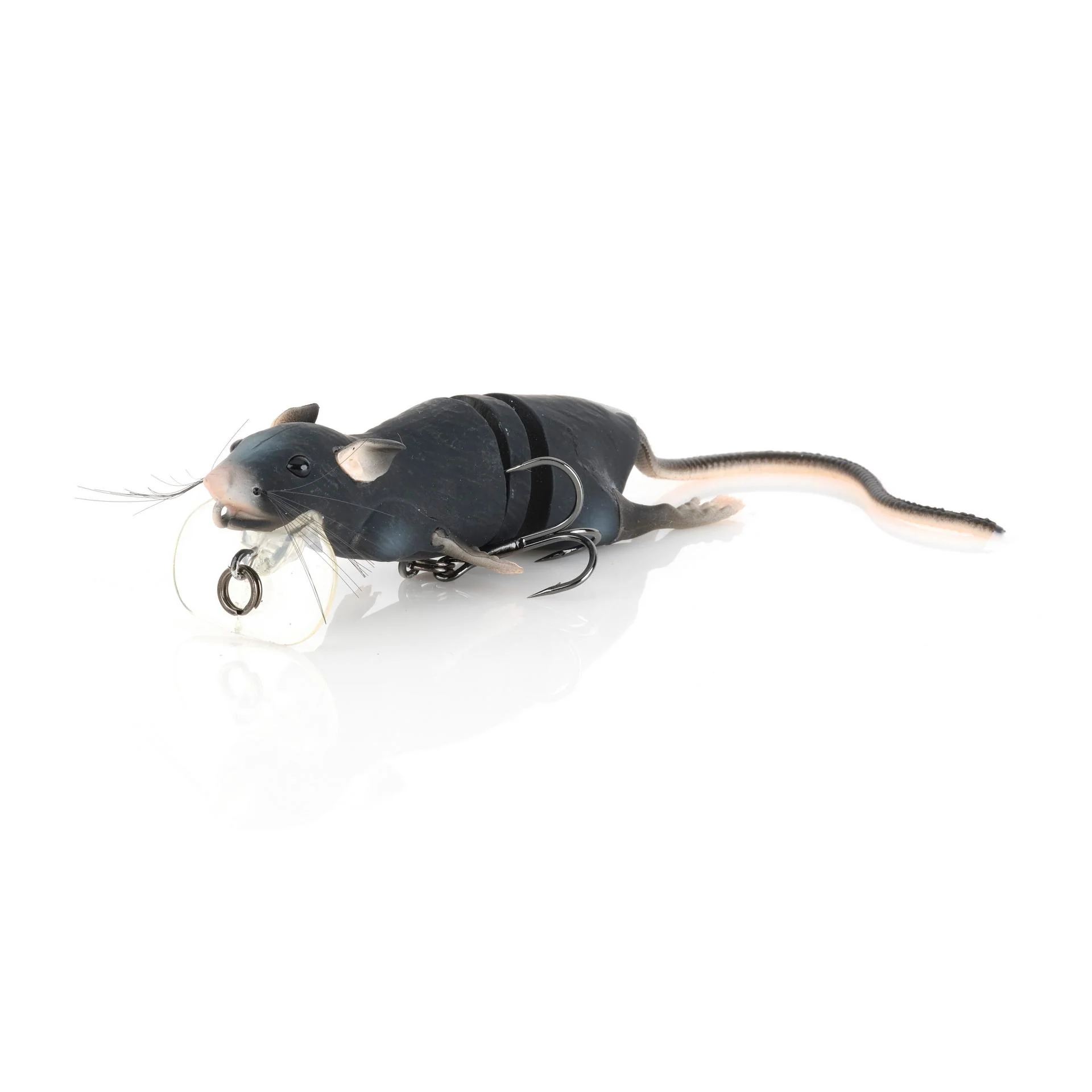 3D Rat - Image 5