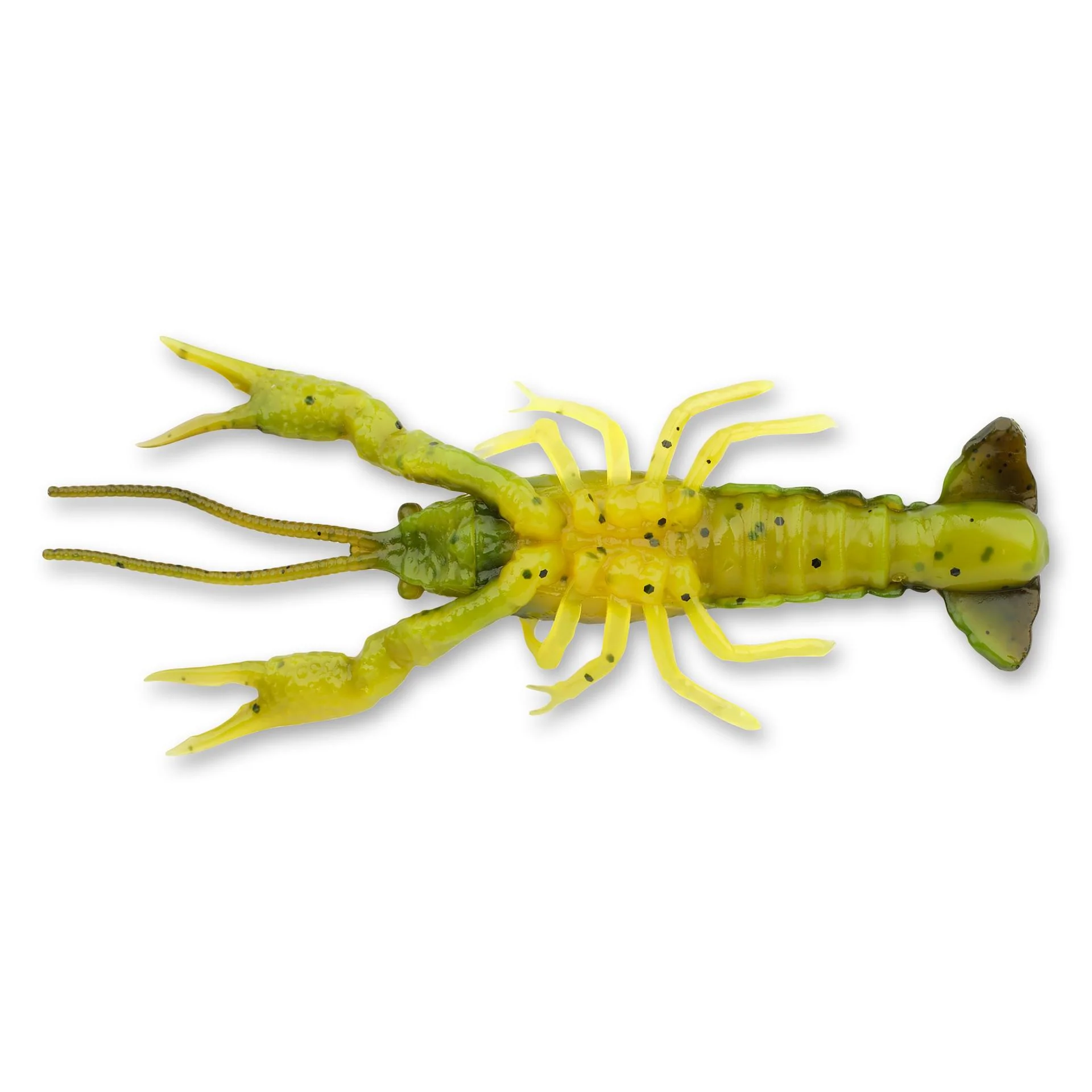 4D Craw - Image 23