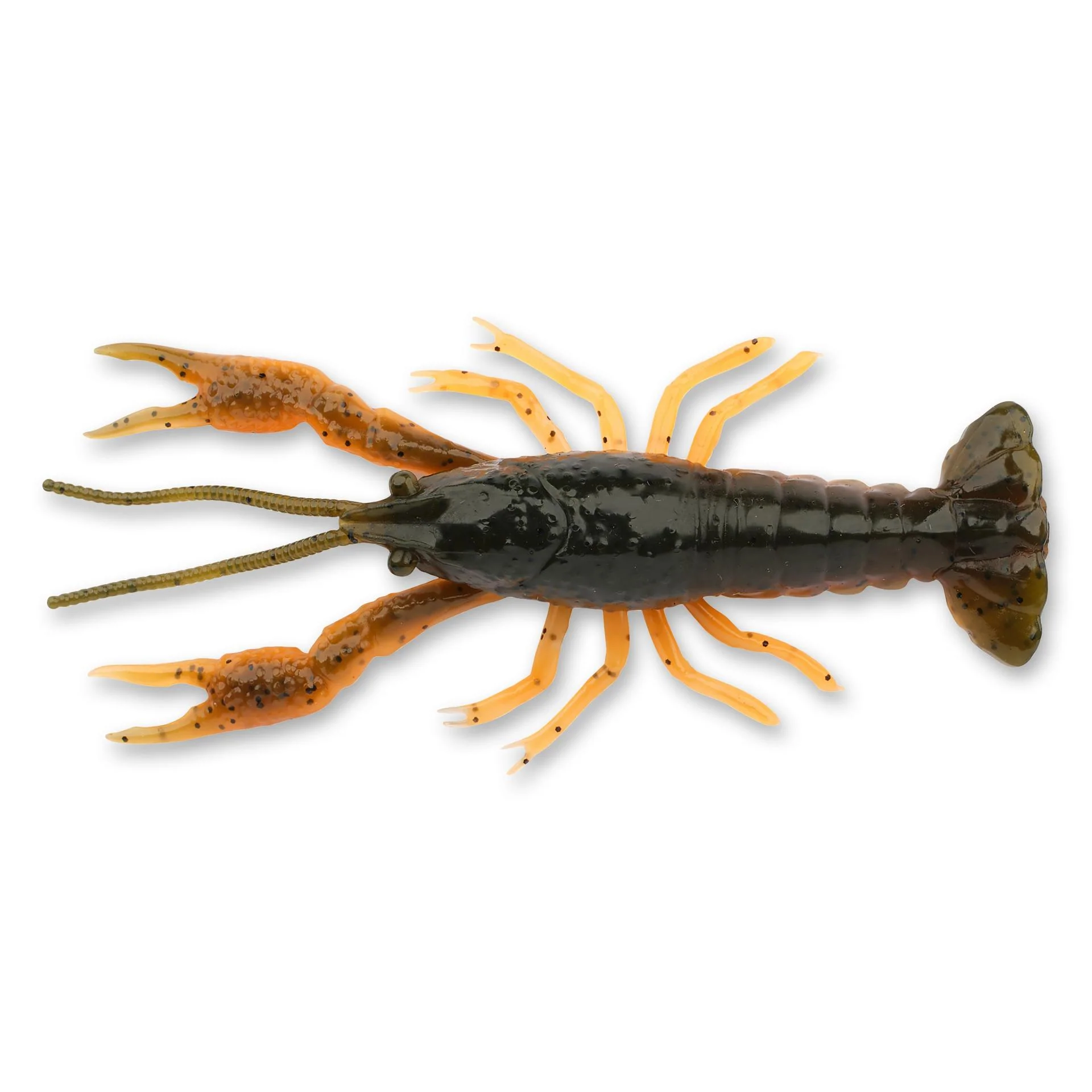 4D Craw - Image 24