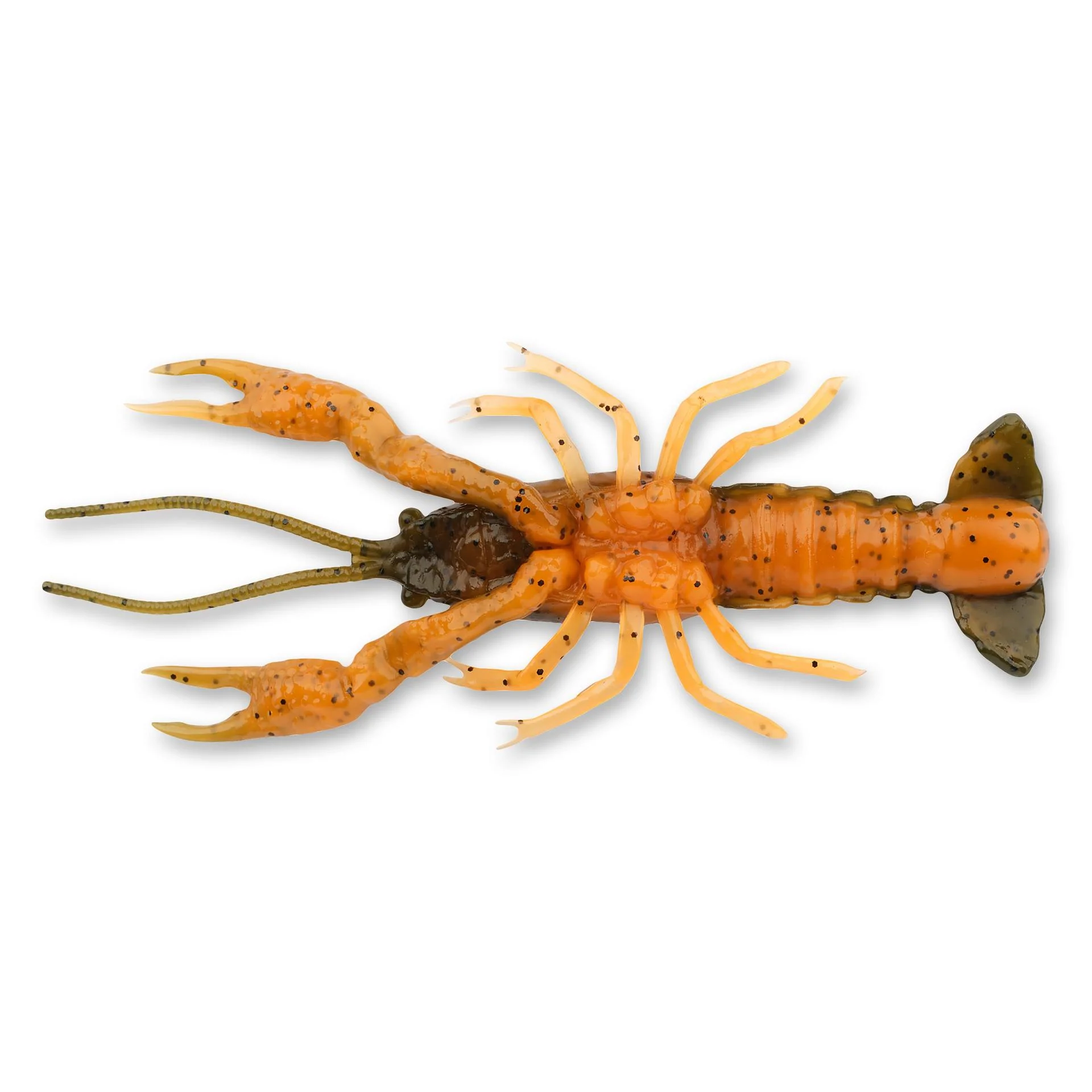 4D Craw - Image 25