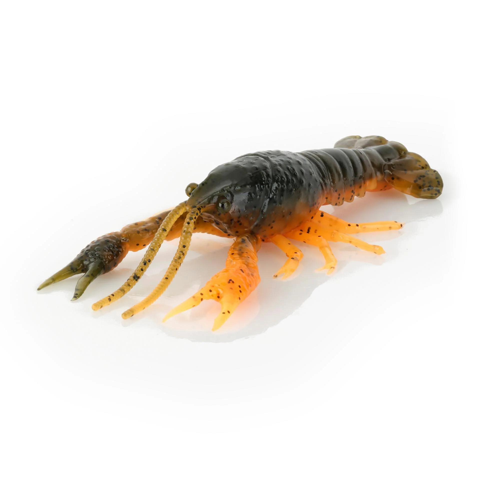 4D Craw - Image 3
