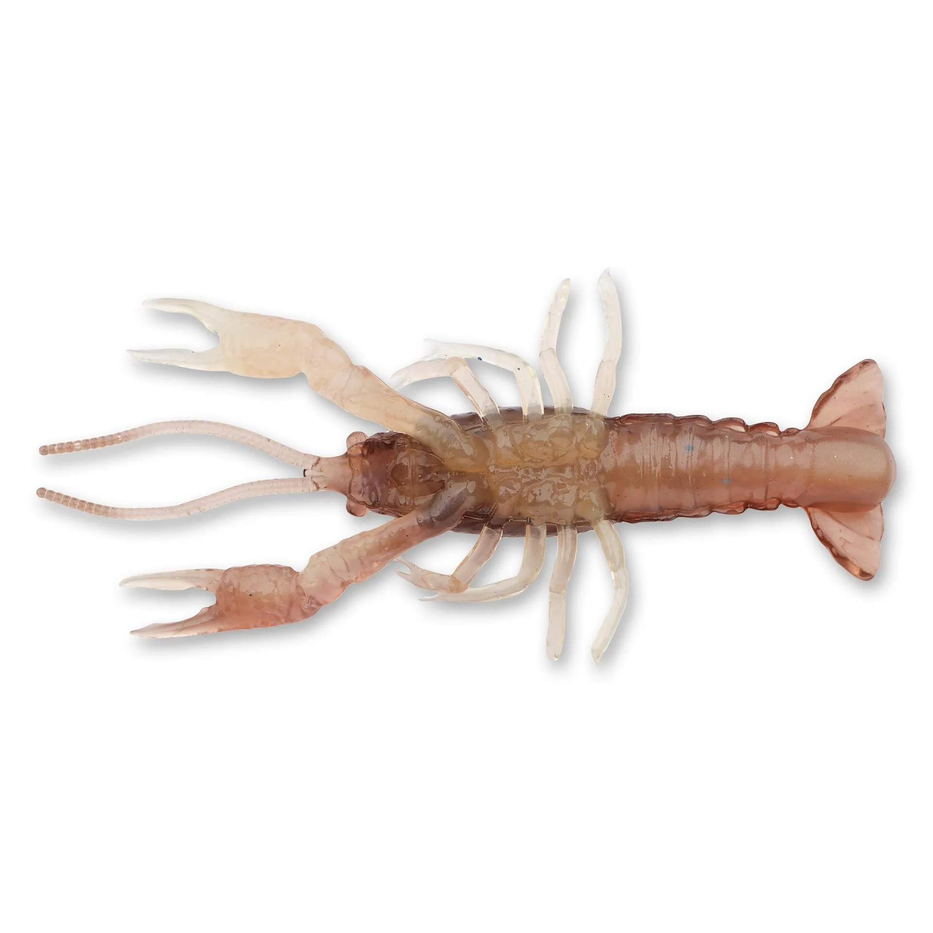 4D Craw - Image 35
