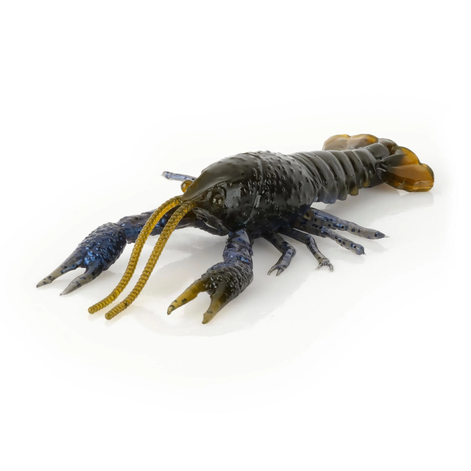 4D Craw - Image 7