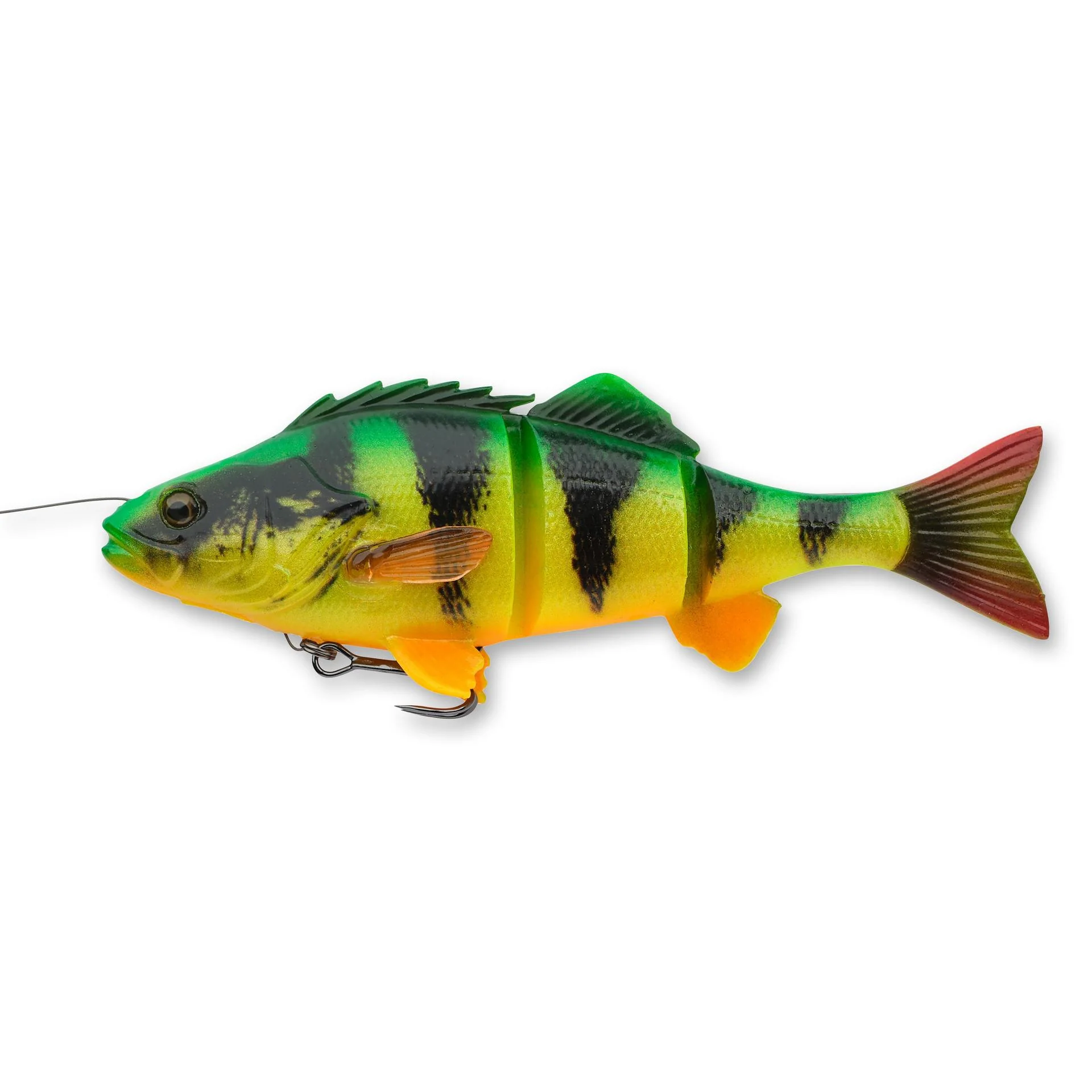 4D Yellow Perch - Image 12