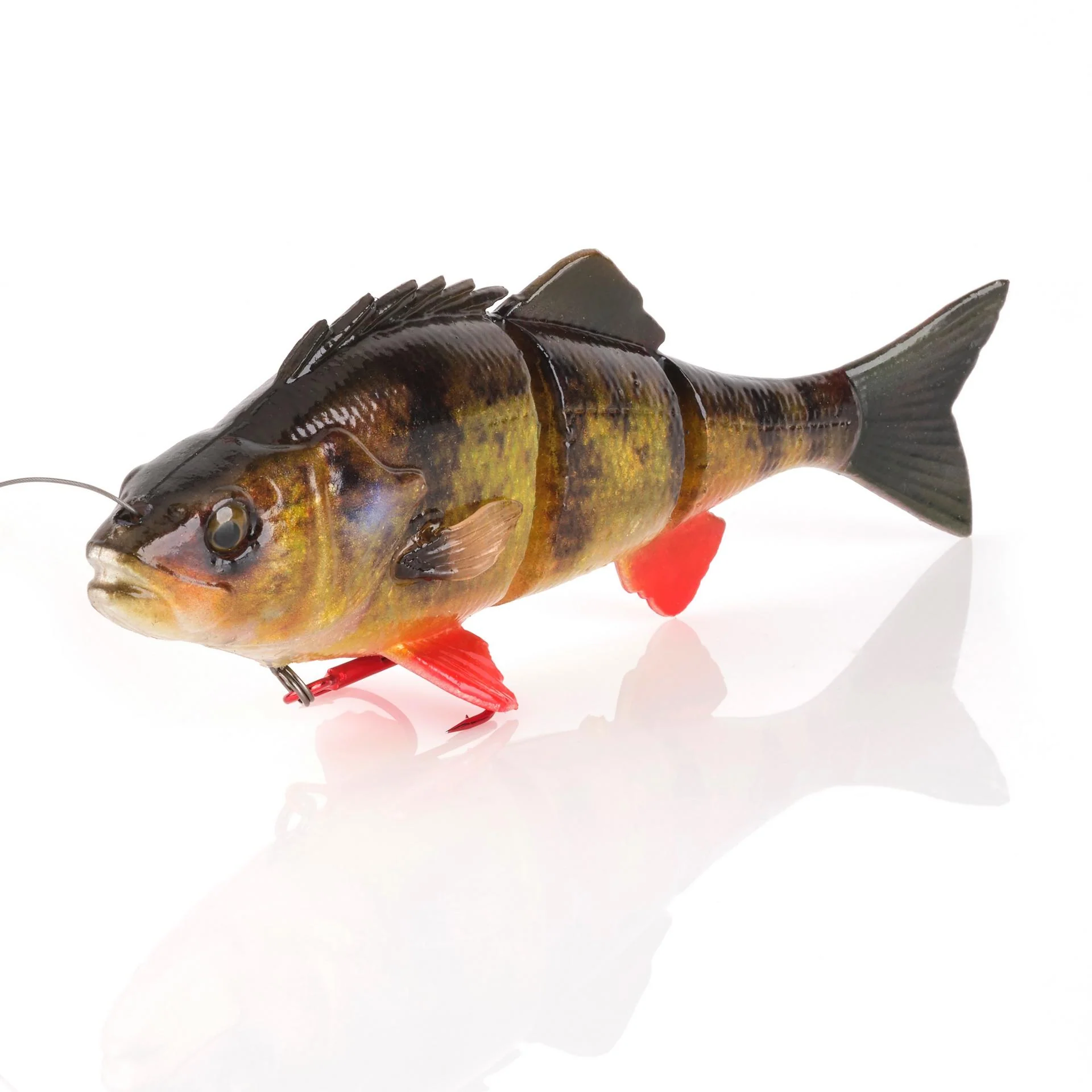 4D Yellow Perch - Image 3