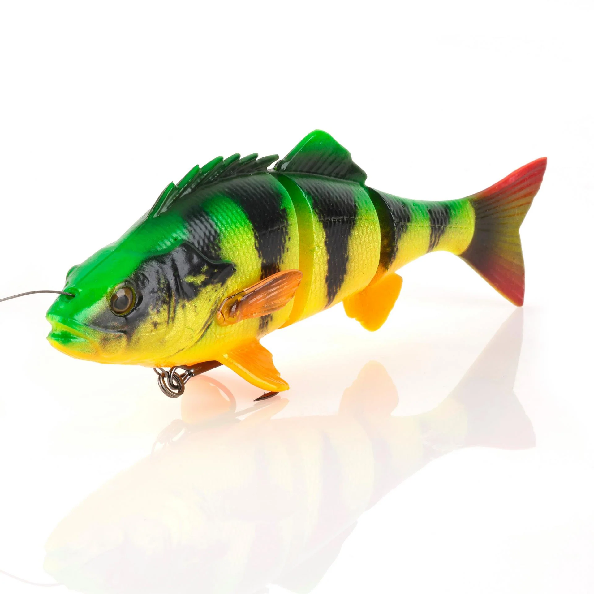4D Yellow Perch - Image 4