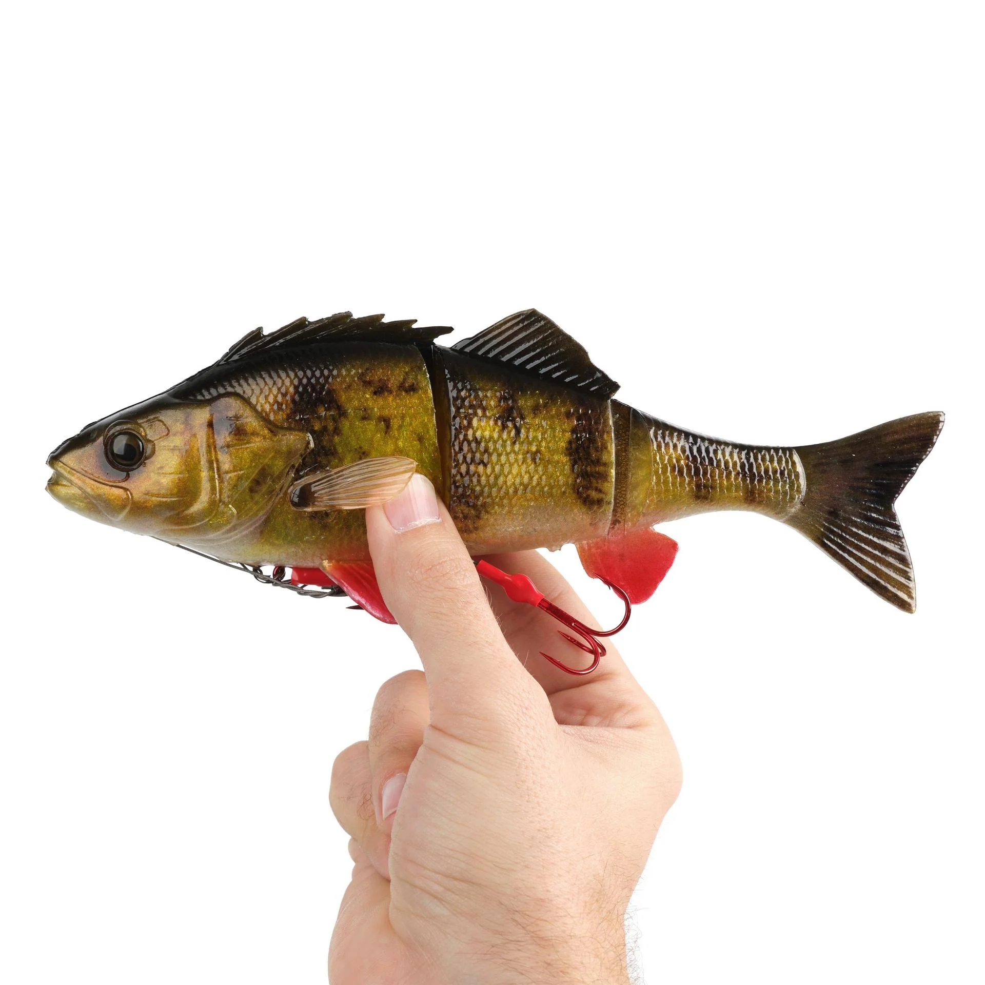 4D Yellow Perch - Image 7