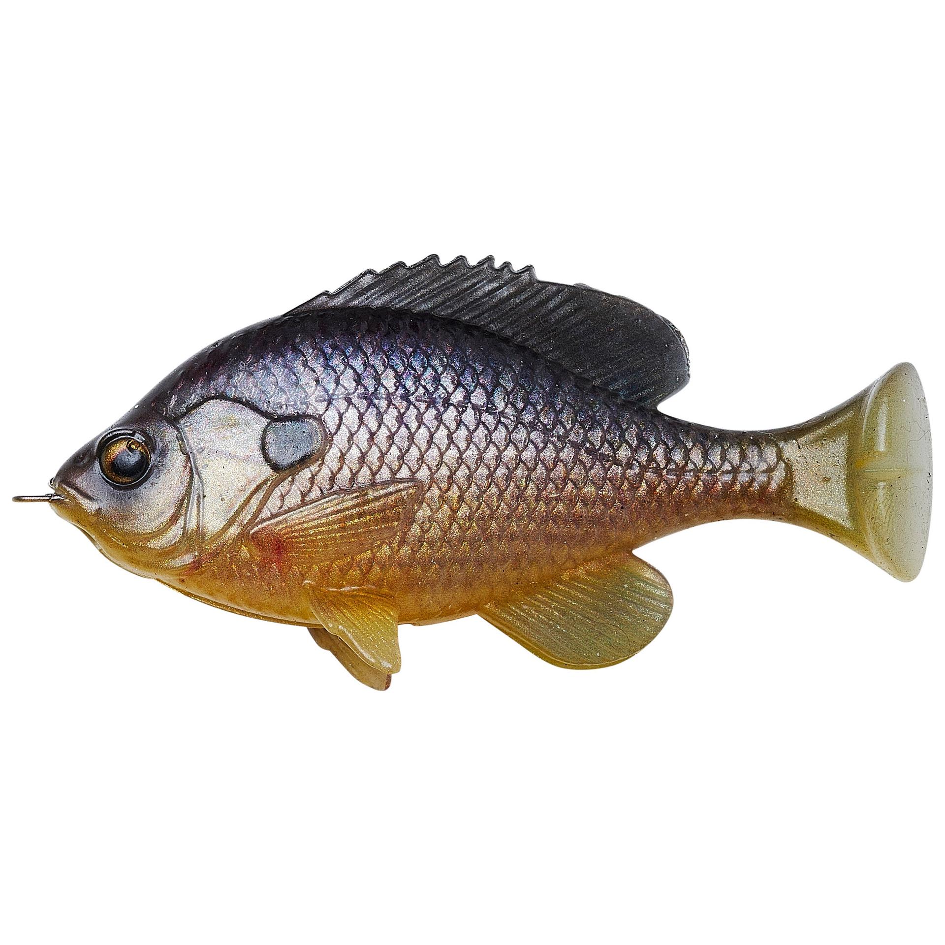 Pulse Tail Bluegill LB - Image 10