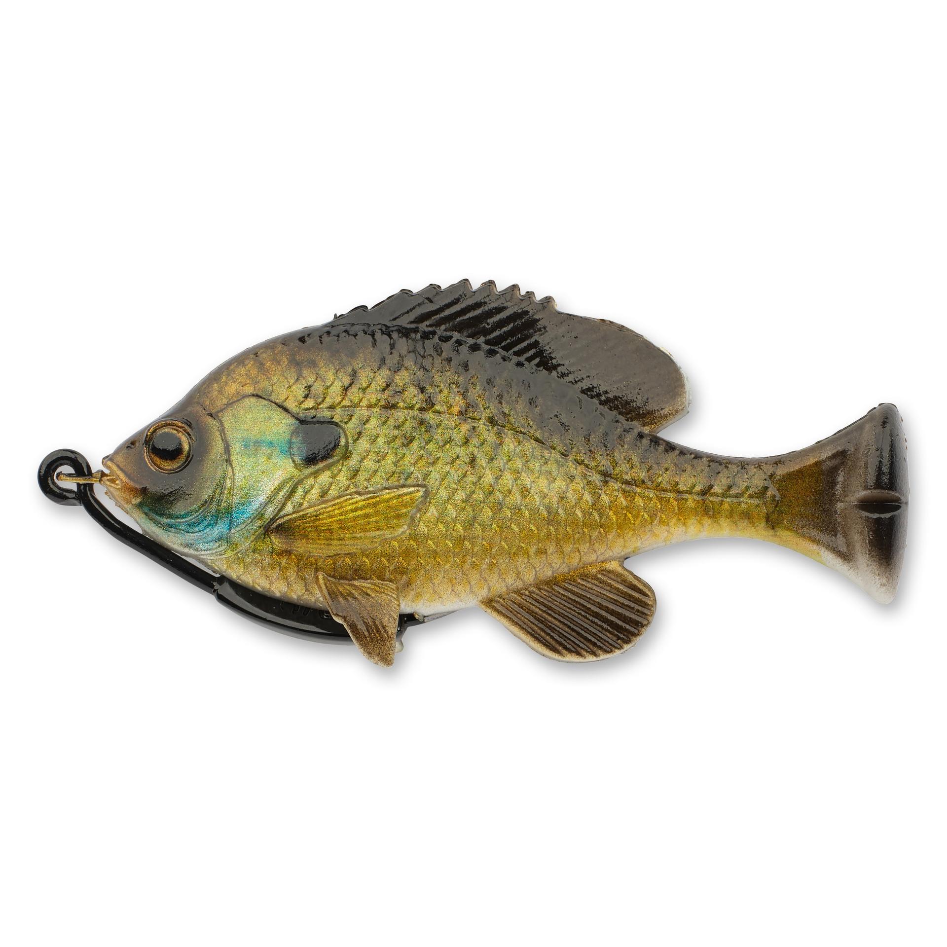 Pulse Tail Bluegill LB - Image 24