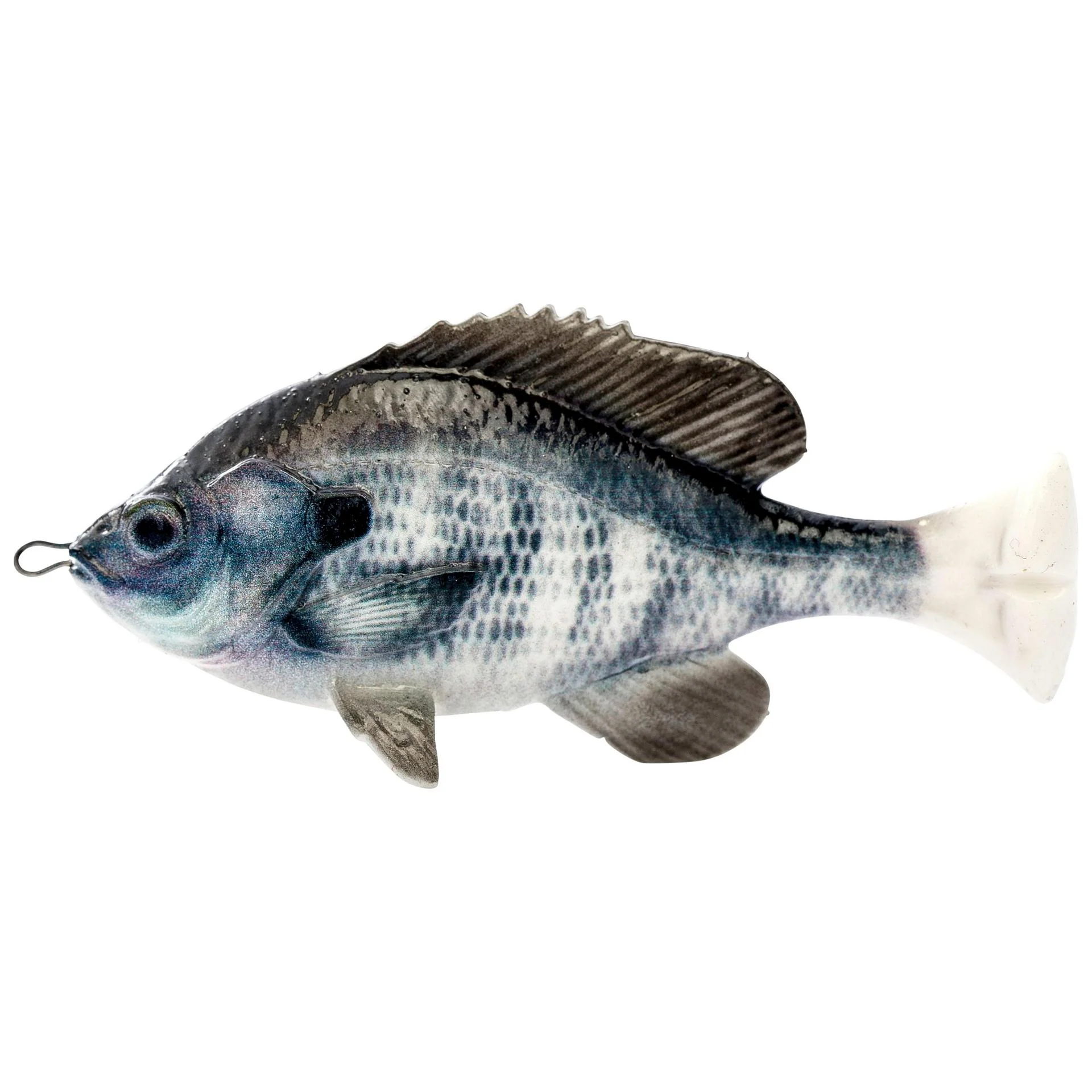 Pulse Tail Bluegill LB - Image 4