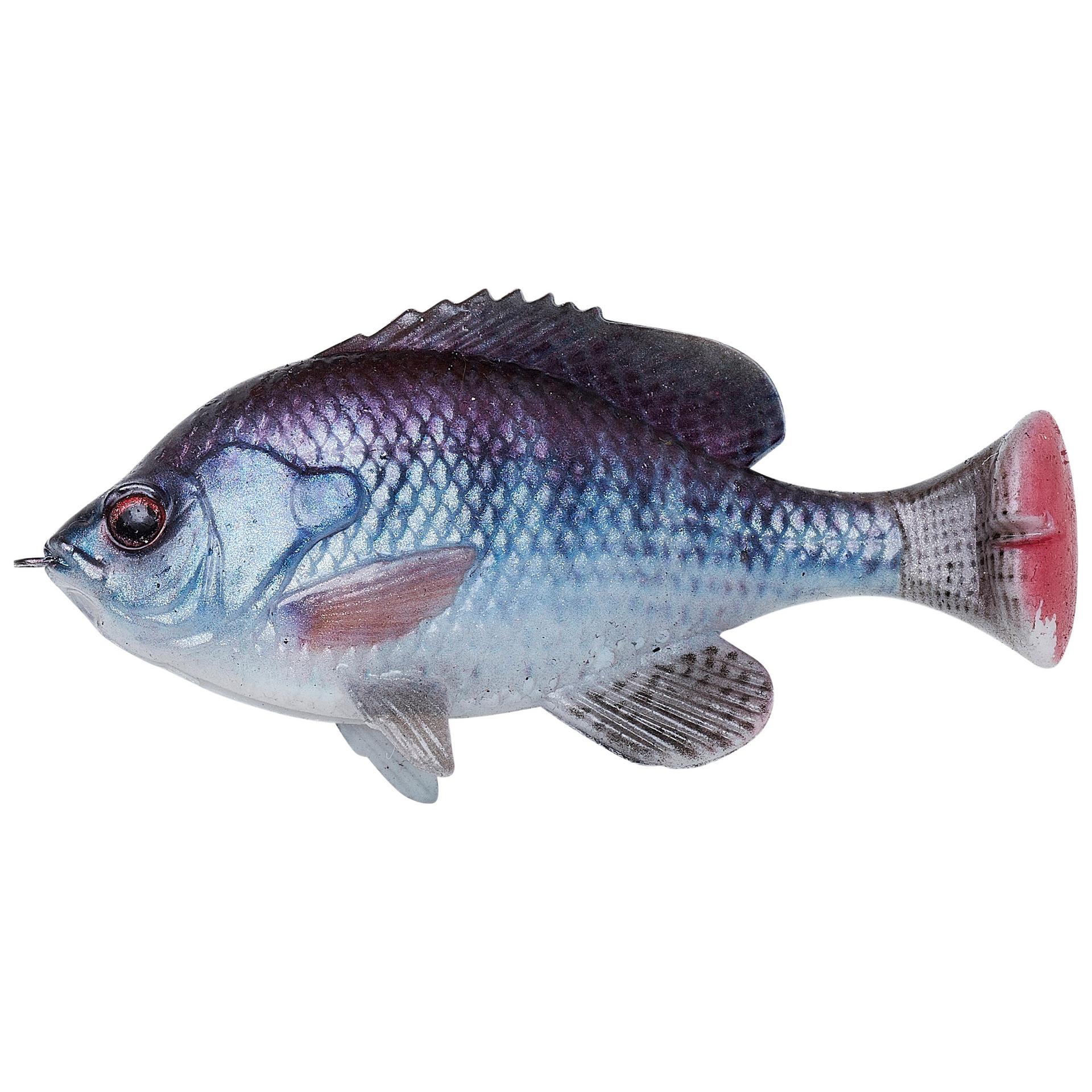 Pulse Tail Bluegill LB - Image 9