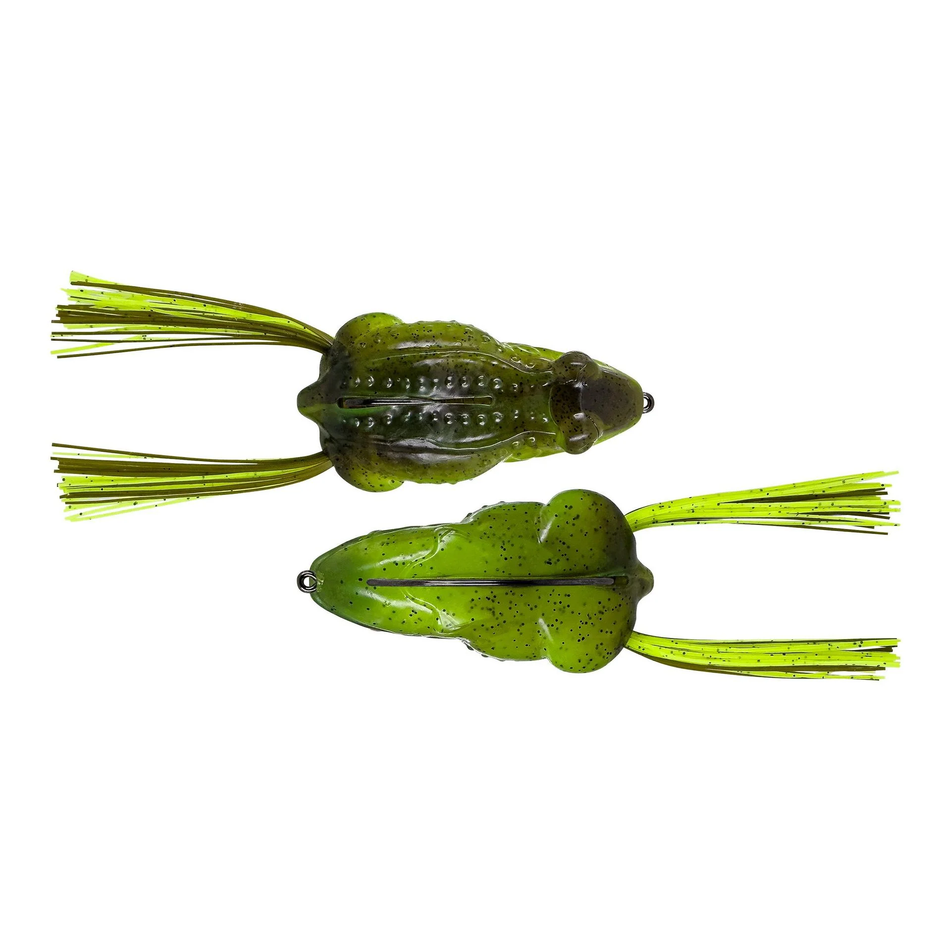 Tough Frog - Image 16