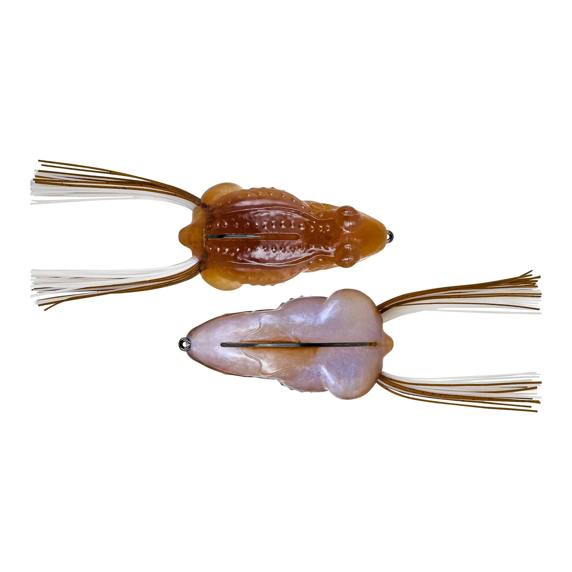 Tough Frog - Image 18